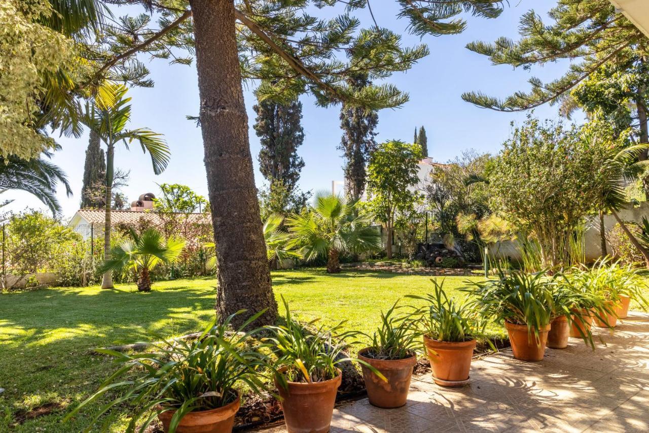 Villa Echium T1 Caniço Exterior foto